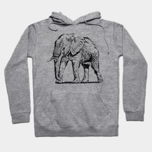 Elephant Print Hoodie